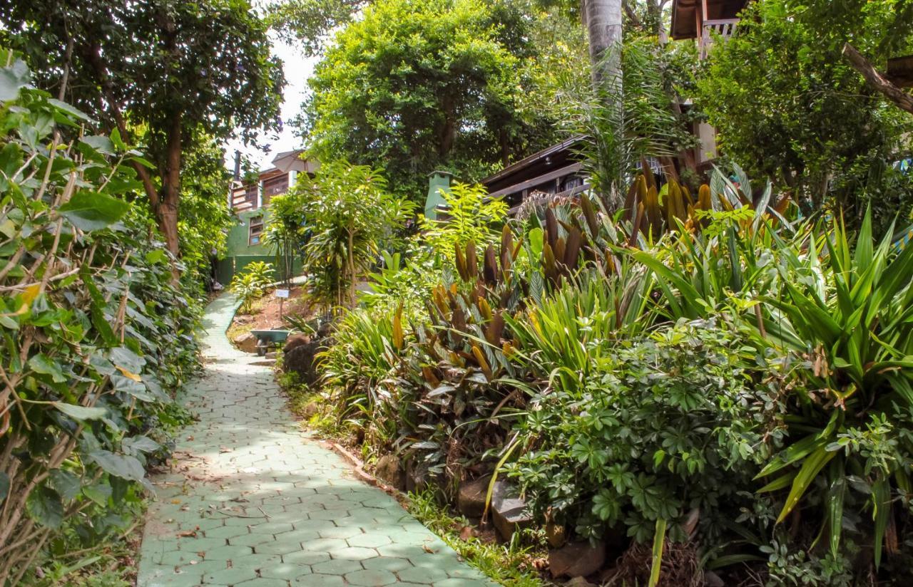 Sunset Strip Eco *